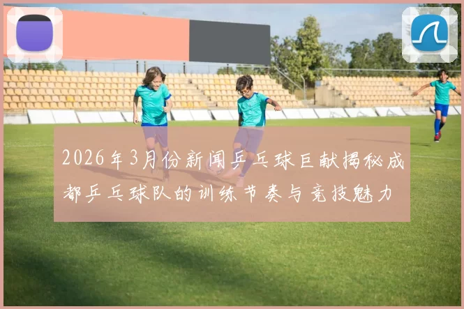 2026年3月份新闻乒乓球巨献揭秘成都乒乓球队的训练节奏与竞技魅力